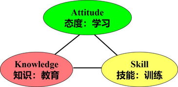 中建東孚上海公司后備人才系列課程之 非人力資源經(jīng)理的人力資源管理