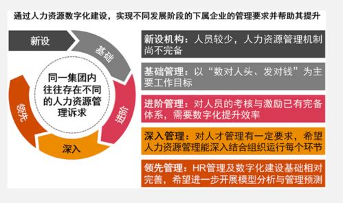 大型集團(tuán)化國有企業(yè)人力資源數(shù)字化建設(shè)的解決之道