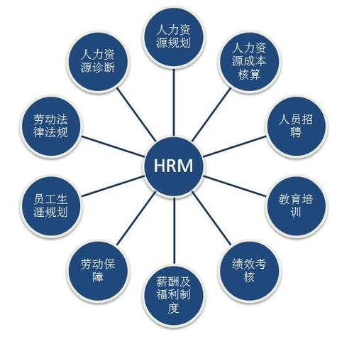 人力資源價(jià)值